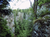 die Wolfsschlucht